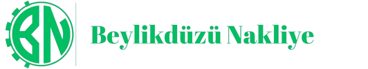 cropped-Beylikduzu_Nakliye__1_-removebg-preview.png